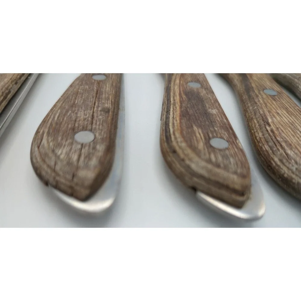 Vtg 5 Regent Swords Lightning Japan SS Steak Knives Full‎ Tang Wood Handle READ